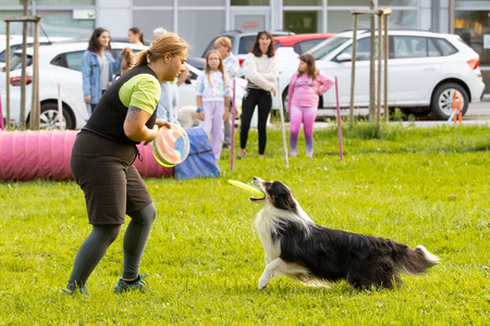 Pasji športni dan_6. 8. 2025 (35)